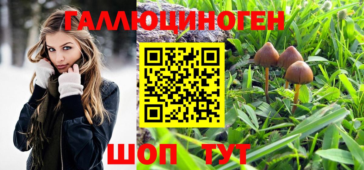 Псилоцибиновые грибы Psilocybine cubensis Орехово-Зуево